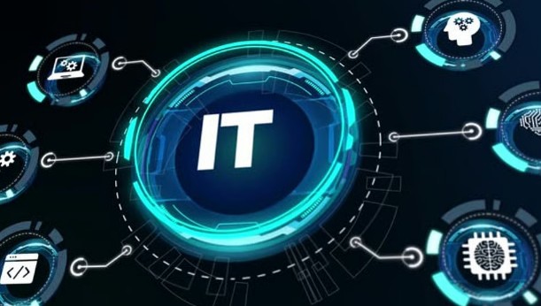IT Sector Client